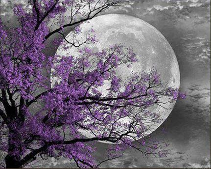 Flower Tree Moon Landscape Paint By Number.png