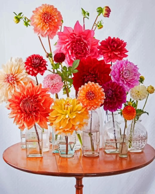 Flower Vases Paint By Numbers.png