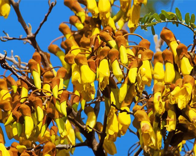 Flowering Kowhai Paint By Numbers.png