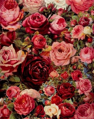 Flowering Roses Paint By Numbers.png