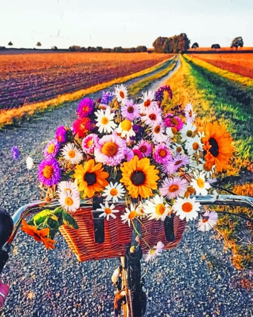 Flowers And Bike Landscapes Paint By Numbers.png