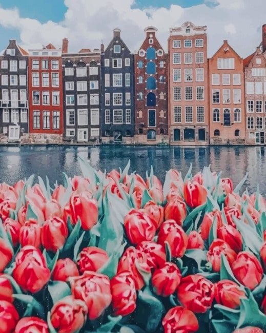 Flowers And Buildings Amsterdam New Paint By Numbers.png