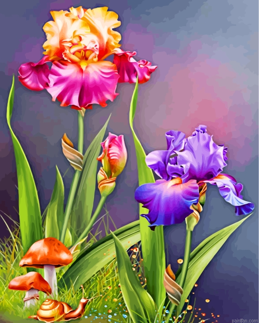 Flowers And Mashrooms Paint By Number.png