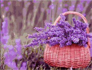 Flowers Basket Paint By Numbers.png