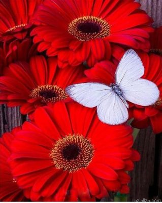 Flowers Butterfly Paint By Numbers.png