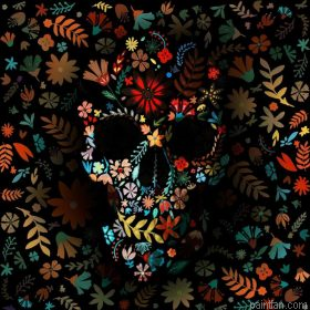 Flowers Darkness Skull Paint By Numbers.png