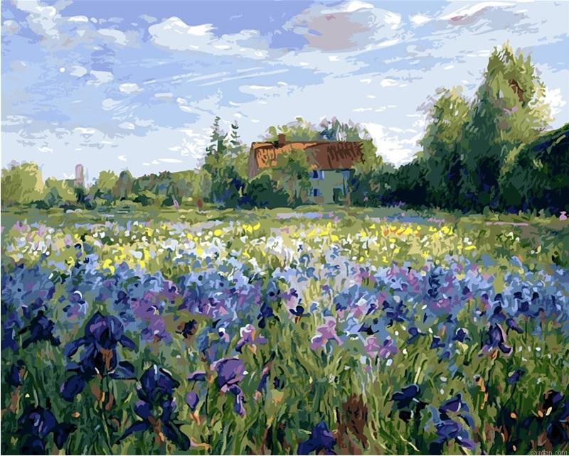 Flowers Field Flowers Paint By Number.png