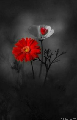 Flowers In Dark Paint By Numbers.png