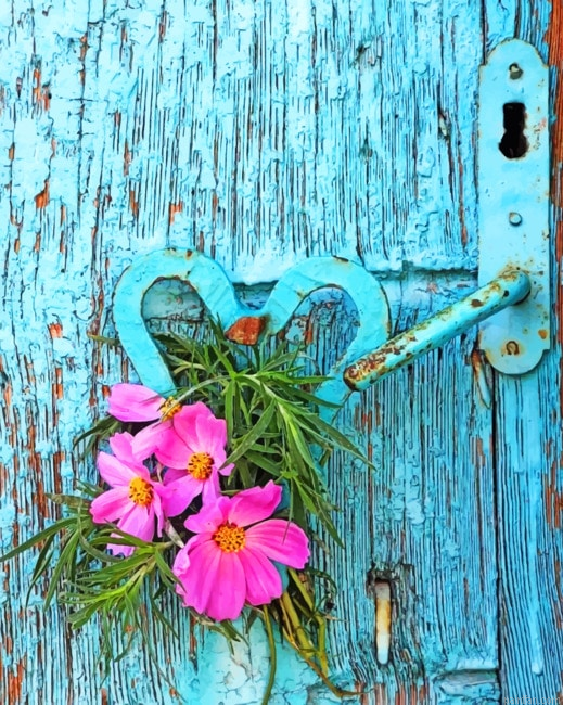 Flowers In Door New Paint By Numbers.png