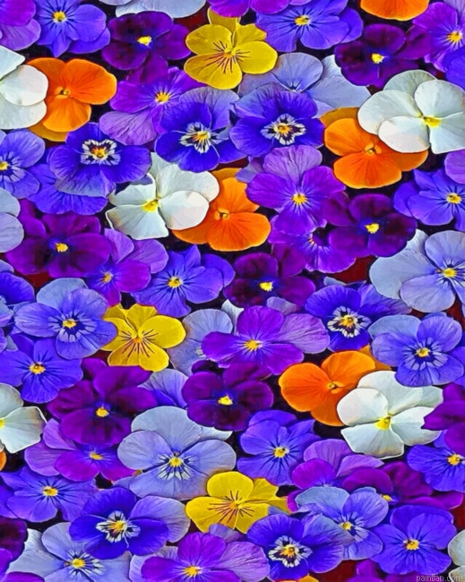 Flowers Paint By Numbers.png