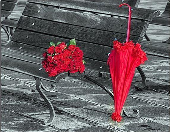Flowers Umbrella Paint By Numbers.png