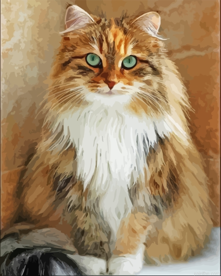 Fluffy Blonde Cat Paint By Numbers.png