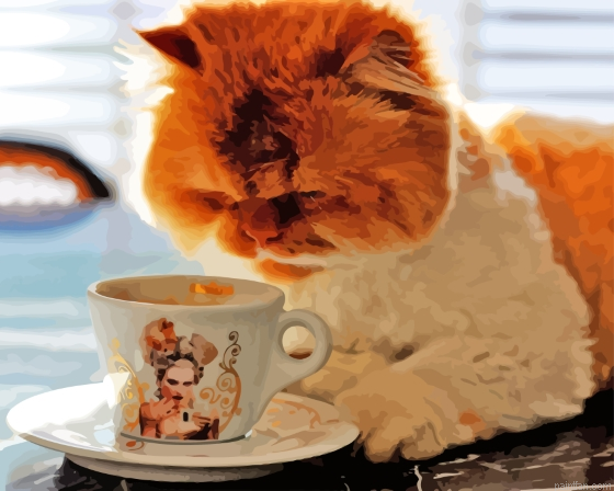 Fluffy Cat Animal Paint By Numbers.png
