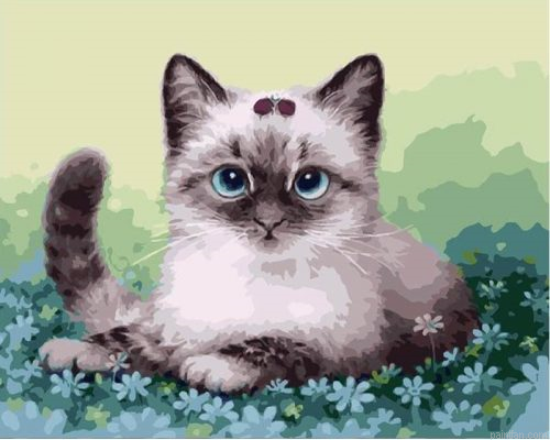 Fluffy Kitten Paint By Numbers.png
