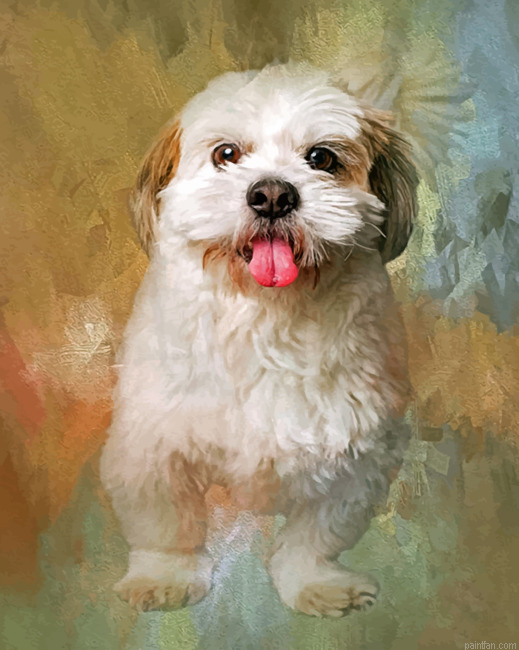 Fluffy Shih Tzu Paint By Number.png