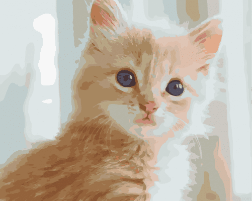 Fluffy Tabby Paint By Numbers.png