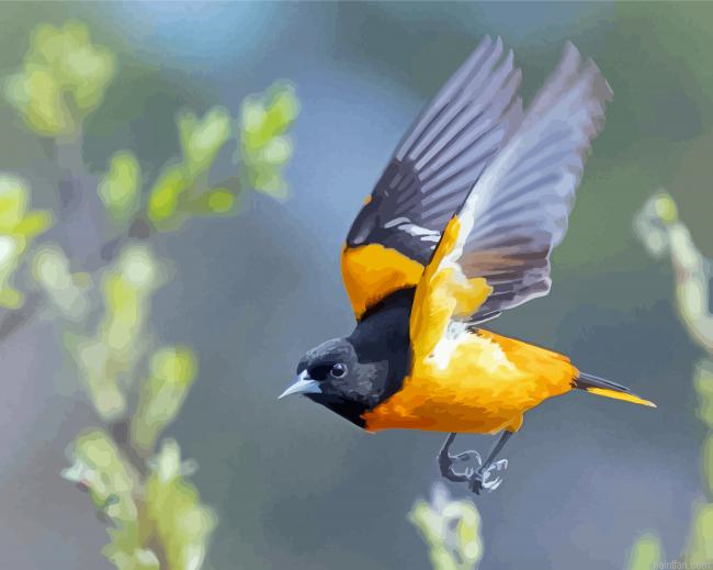 Flying Baltimore Oriole Paint By Numbers.png