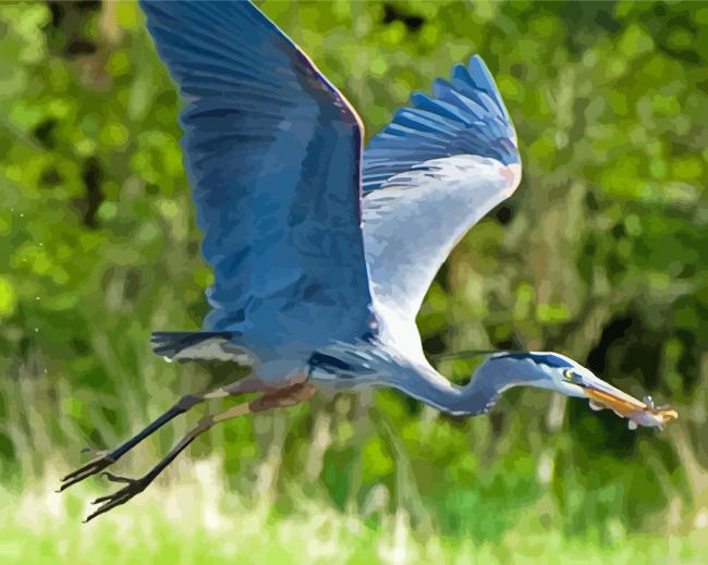 Flying Blue Crane Paint By Numbers.png