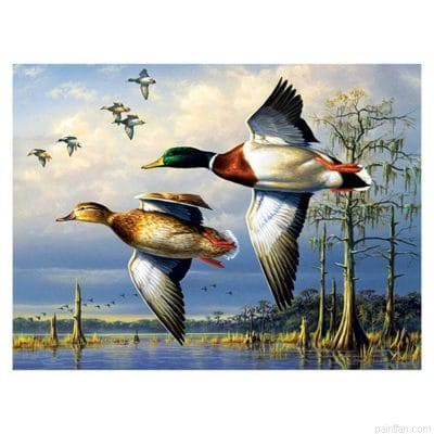 Flying Duck Paint By Numbers.png