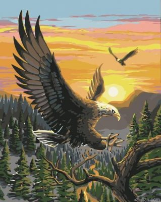 Flying Eagles Paint By Numbers.png