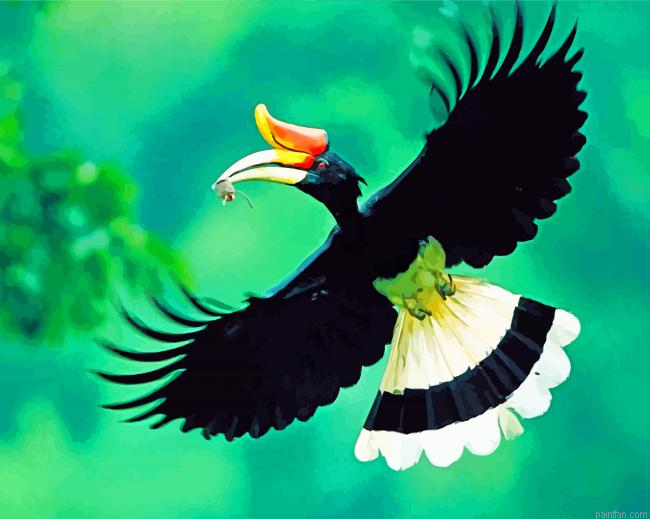 Flying Great Hornbill Paint By Number.png