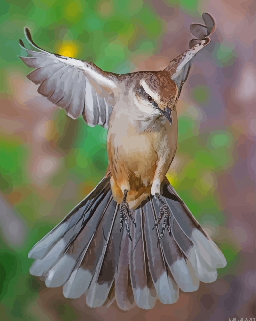 Flying Northern Mockingbird Paint By Number.png