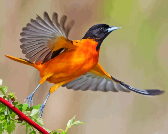 Flying Oriole Bird Paint By Numbers.png