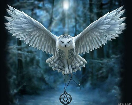 Flying Owl Paint By Numbers.png