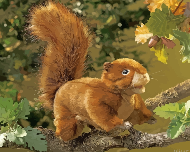Folkmanis Red Squirrel Puppet Paint By Number.png