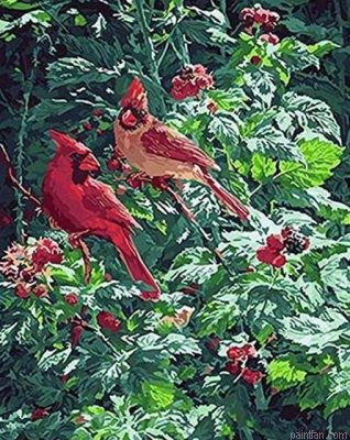 Forest Birds Paint By Numbers.png