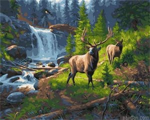 Forest Deer Paint By Numbers.png