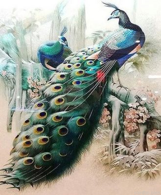 Forest Peacock Paint By Numbers.png