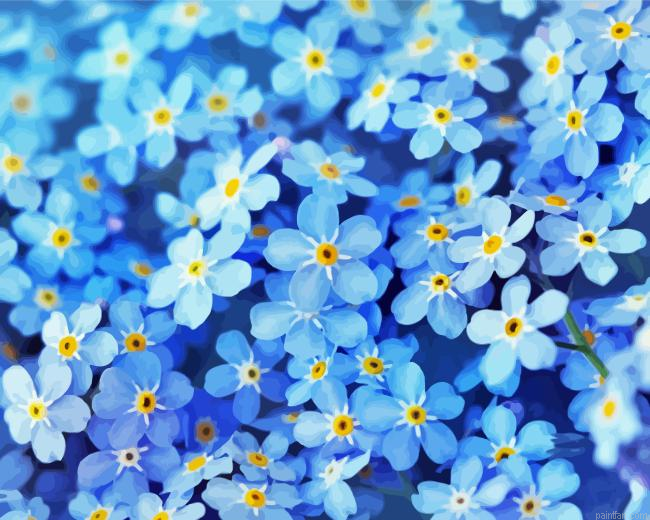 Forget Me Nots Paint By Numbers.png
