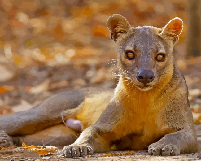 Fossa Animal Paint By Numbers.png