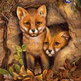 Fox Cubs In Den Paint By Numbers.png