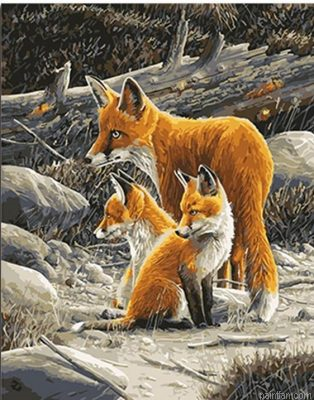 Fox Family Paint By Numbers.png