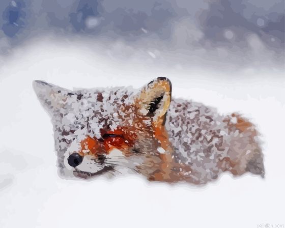 Fox In The Snow Paint By Numbers.png