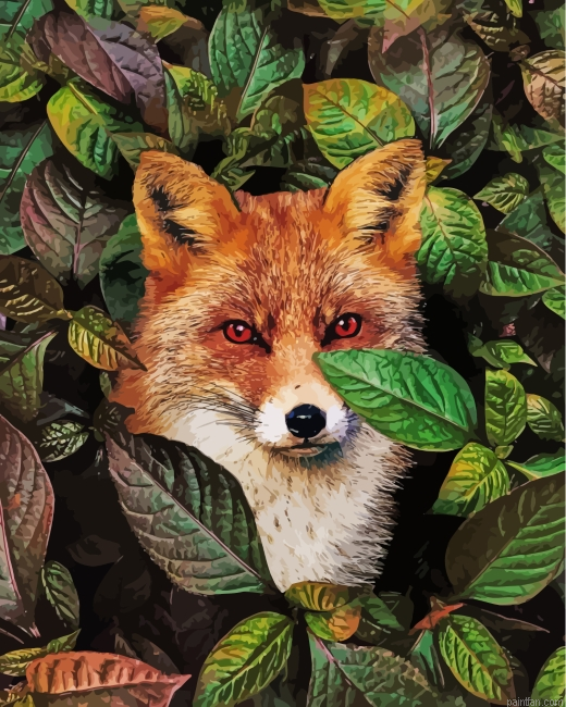 Fox With Red Eyes Paint By Number.png