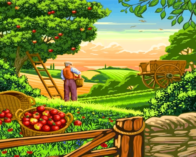 Framer Grandpa Paint By Number.png