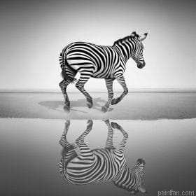 Free Zebra Paint By Numbers.png