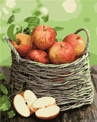 French Apples Paint By Numbers.png