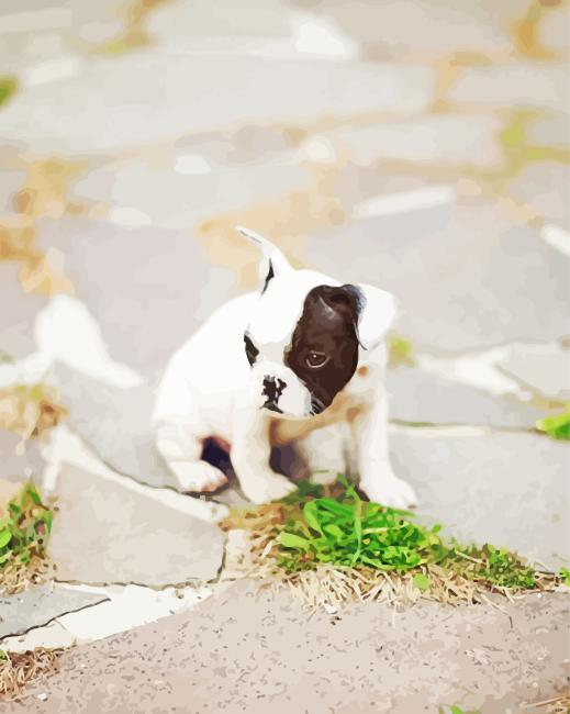 French Bulldog Dog Paint By Numbers.png