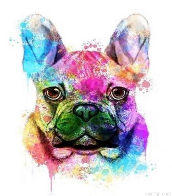 French Bulldog Paint By Numbers.png