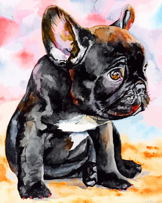 French Bulldog Puppy Paint By Number.png
