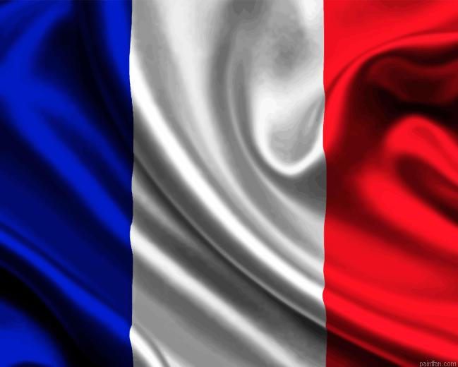 French Flag Paint By Numbers.png