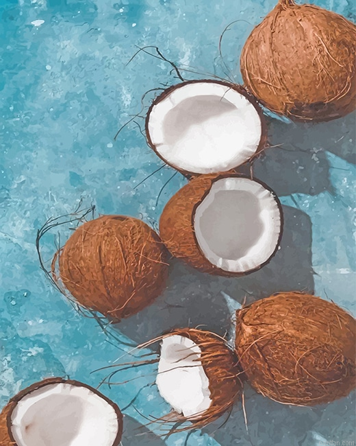 Fresh Coconut New Paint By Numbers.png