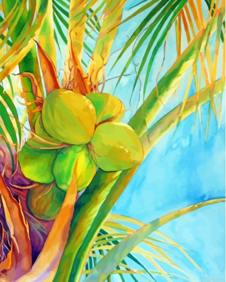 Fresh Coconut Tree Paint By Numbers.png