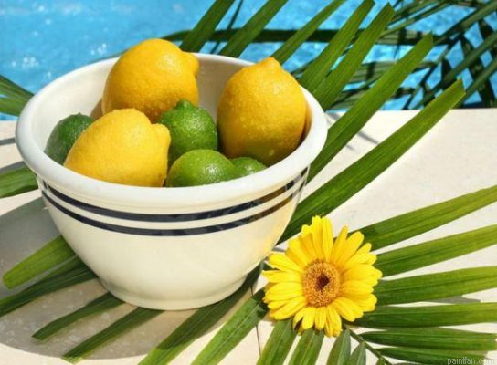 Fresh Lemon Paint By Numbers.png