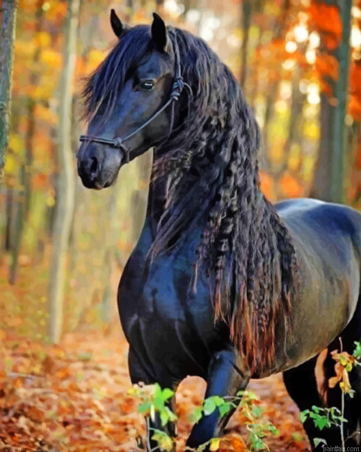 Friesian Black Horse Paint By Number.png