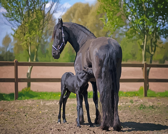 Friesian Horses New Paint By Numbers.png